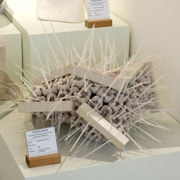 Marino Ficola. Lampada. 2008